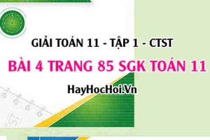 Giải bài 4 trang 85 Toán 11 tập 1 SGK Chân trời sáng tạo